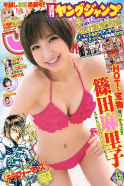 政坛野兽