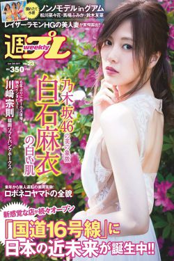电视剧汉武大帝